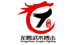 龙腾武术搏击